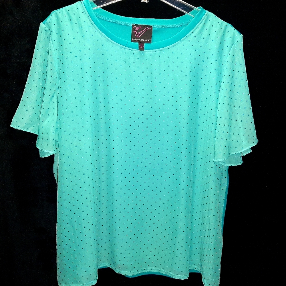 Plus Women Blue Carson Kressley Blouse Size 2X